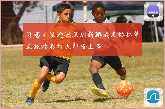海港主场迎战深圳新鹏城足协杯第五轮精彩对决即将上演