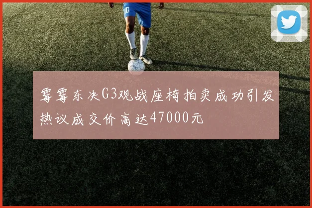霉霉东决G3观战座椅拍卖成功引发热议成交价高达47000元