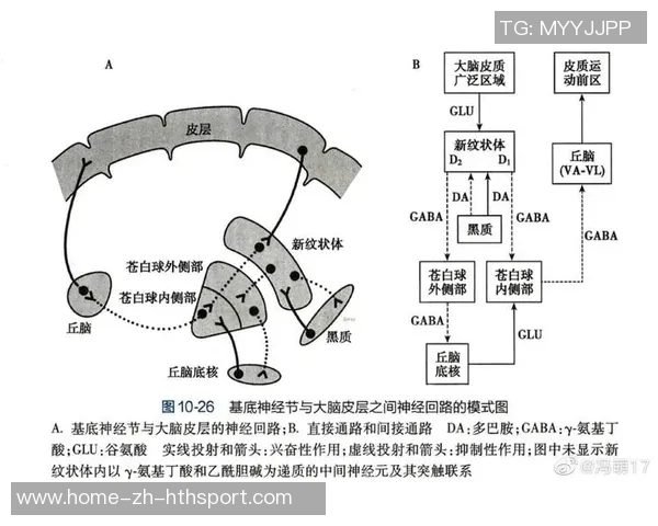 卡恩谈纳格尔斯曼的执教风格与性格特点引发的争议与思考 卡恩谈纳格尔斯曼的执教风格与性格特点引发的争议与思考