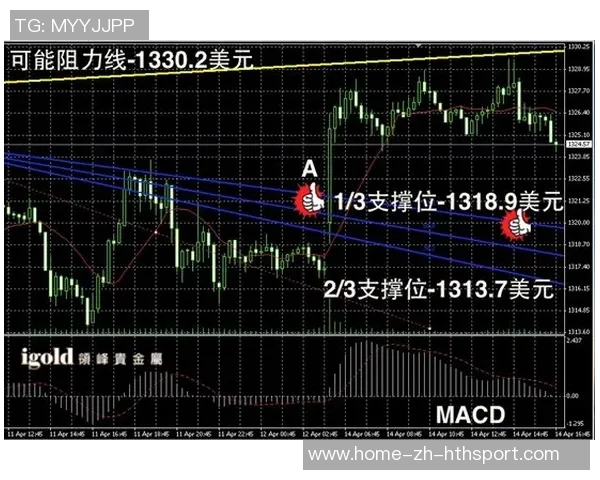 托哈:高标准要求助力反弹展现真实实力超越之前表现 托哈:高标准要求助力反弹展现真实实力超越之前表现